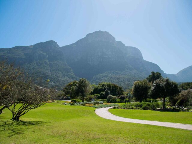 https://goguidegeorgia.com/wp-content/uploads/2018/08/post_capetown_04-640x480.jpg