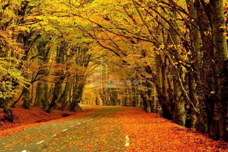 Sabaduri Forest & Zoological Centre Tour