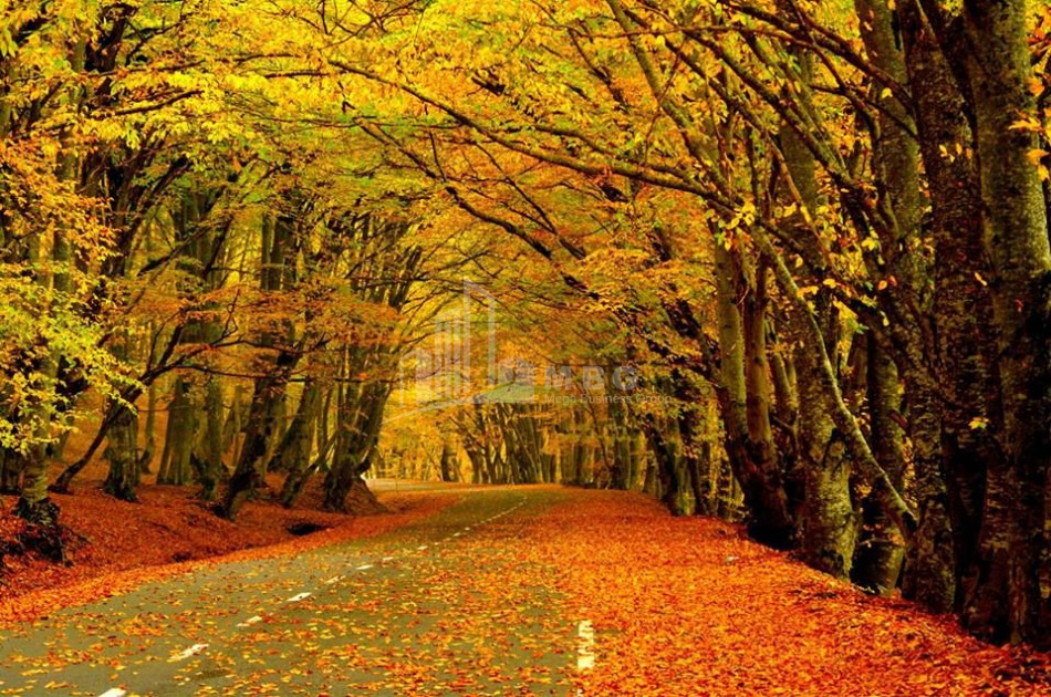 Sabaduri Forest & Zoological Centre Tour