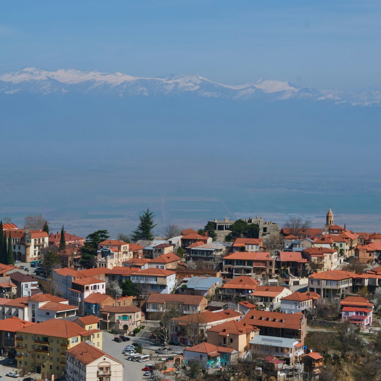 Kakheti One-Day Tour Plan – Culture,  Scenic Views & Wine