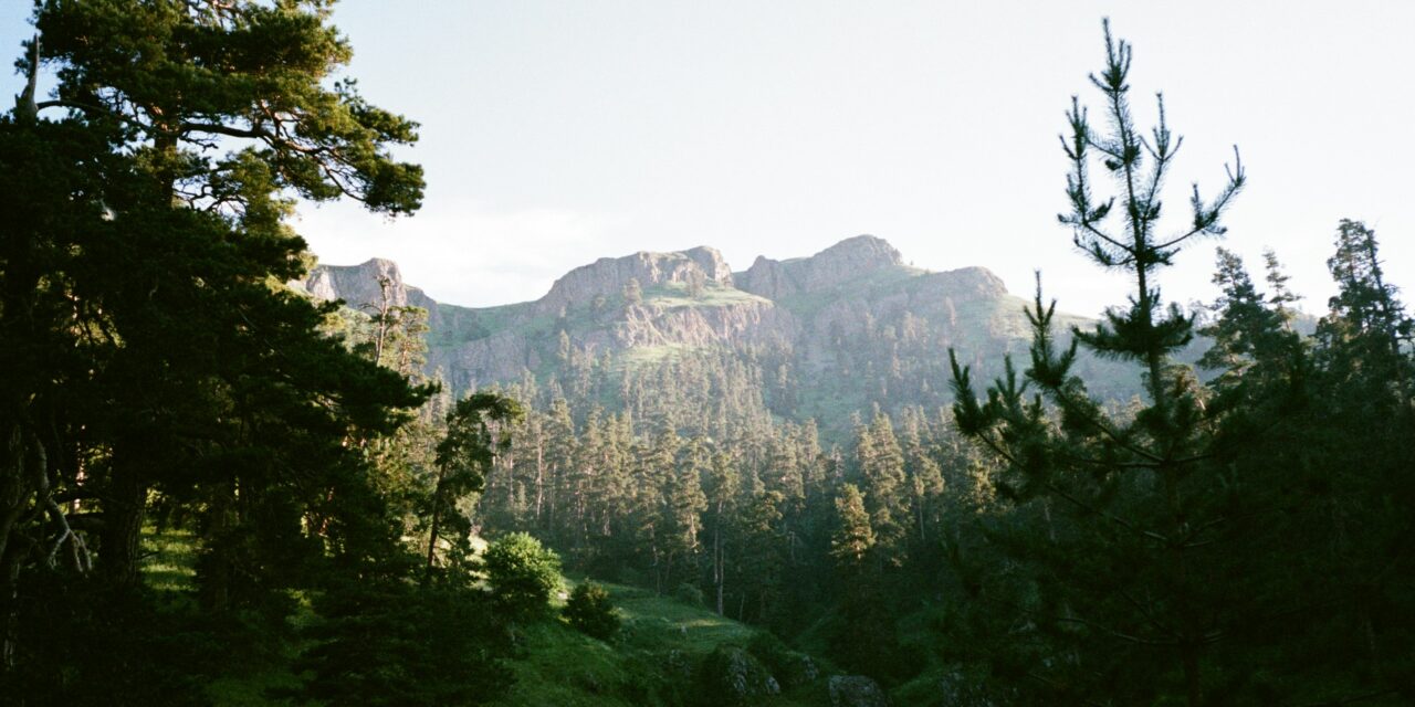 Borjomi Discovery Tour: Nature, Jvari & Uplistsikhe